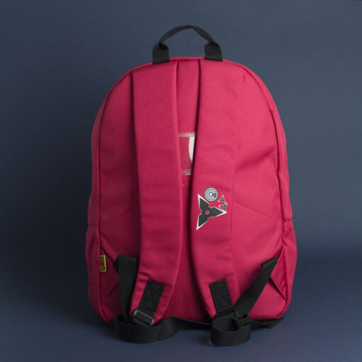 BL B-HS Ninja+ - Ảnh 2