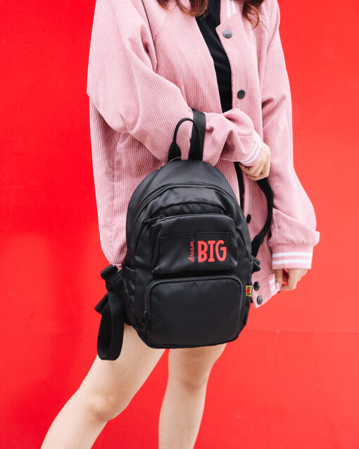 BL DS BIG - Ảnh 3
